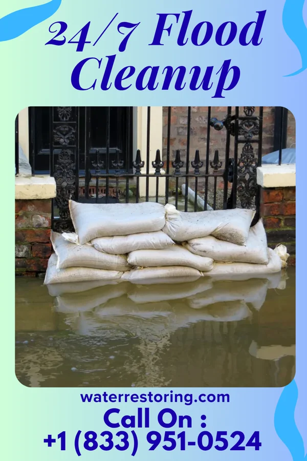24/7 Flood Cleanup in Riverton, IL