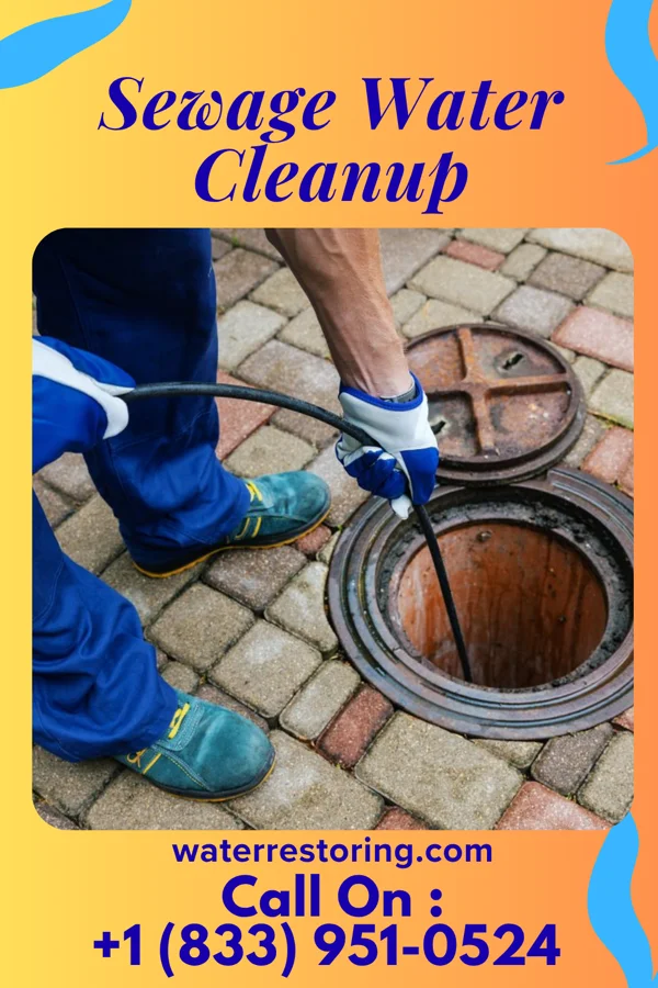 Sewage Water Cleanup in Riverton, IL